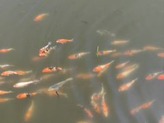 -昆山城市生态森林公园