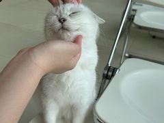 -怪兽屋·羊驼·猫咖·狗咖(俊华广场店)