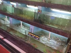 水产区-旺达·福州菜(正大广场店)