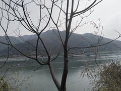 -羚羊峡古栈道森林公园