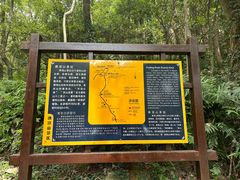 -普陀山慧济禅寺