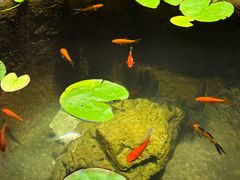 -31号公馆(黄兴广场白果园店)