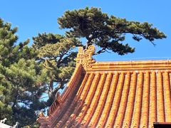 -妙峰山风景名胜区
