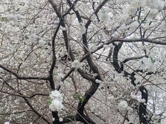 -雍和宫(地铁站)