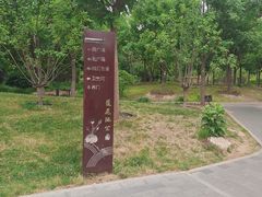 -莲花池公园