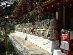 -福冈国际邮轮码头