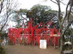 -王顺山国家森林公园