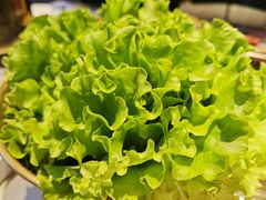 -杨记齐齐哈尔烤肉(总店)