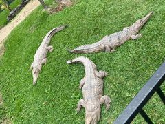 -可伦宾野生动物保护区