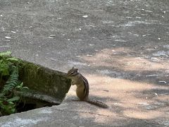 -五营国家森林公园