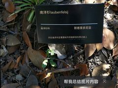 -墨尔本皇家植物园
