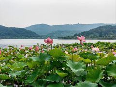 -南北湖风景区