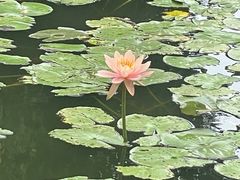 -三亚海棠湾喜来登度假酒店
