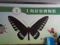 -上海昆虫博物馆