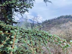 -秦岭风景区