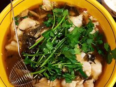 -熊猫川菜馆 panda chine