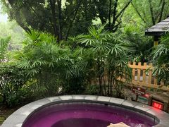 -融汇温泉