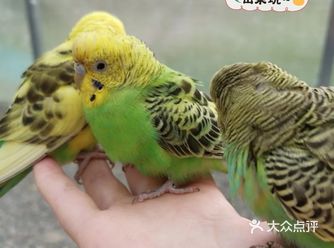六一溜娃,可以捞鱼萌兔互动的亲子动物乐园