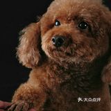 直到把它抱上来说拍几张照片发给它亲妈看看