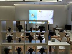 -813芭依珊 BAESAn(汇港购物中心店)