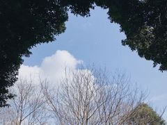 -安仁古镇