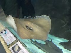 -苏州海洋馆