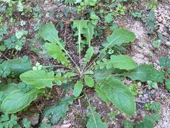 -南京金牛湖风景区