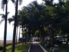 -海沧湾公园