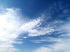 -金塔沙漠胡杨林景区