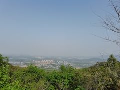 -阳台山自然风景区