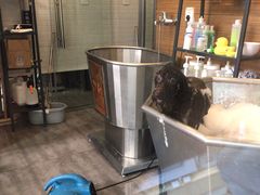 -PETKIT小佩宠物(古北店)