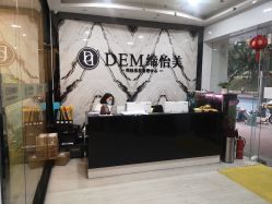 -DEM缔怡美科技美容