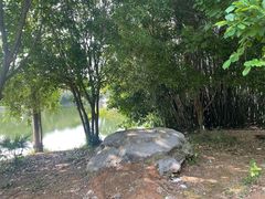 -青龙山国家森林公园