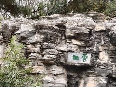 -团结湖公园