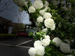 -苏州湾王焰温泉度假酒店