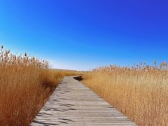 -野鸭湖国家湿地公园