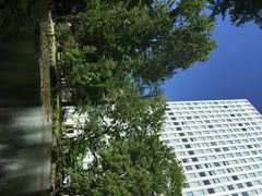 旧道厅-北海道厅旧本厅舍(旧本庁舎)