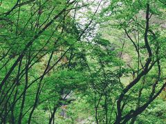 -北京上方山国家森林公园