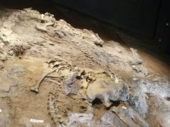 -世界恐龙谷景区