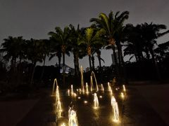 -四海公园(南山区)