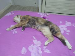 -衣卫士智能洗衣·全市顺丰取衣·苏州总店