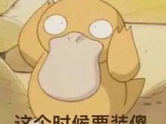 -胡须佬鸡煲四季火锅(龙珠大道店)