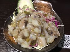 -春草居酒屋·晴子の店