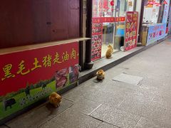 -召稼楼古镇