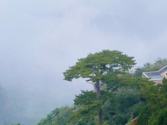 -圣莲山风景区