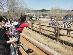 -大连森林动物园