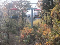 -青岛中山公园-索道售票处