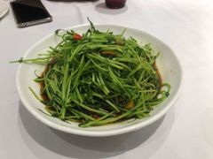 松茸豆苗-丰收日(五角场店)