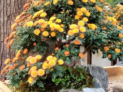 -共青国家森林公园-售票处