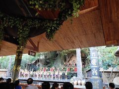 -海南槟榔谷黎苗文化旅游区